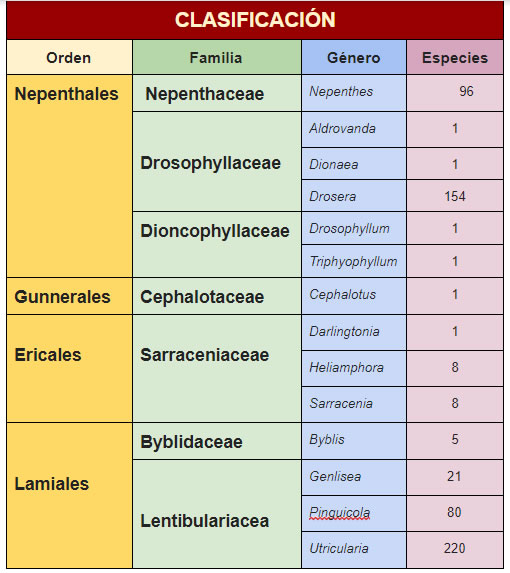 Clasificación de las plantas carnívoras